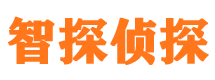 琼山市侦探调查公司